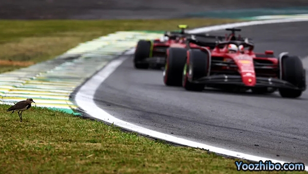 米兰体育报:可能是勒克莱尔促成了比诺托的离开