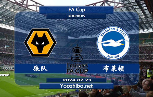 狼队vs布莱顿赛事前瞻分析