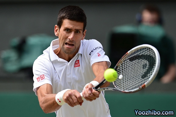 2014年温网男单决赛德约科维奇VS费德勒