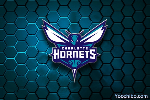 2019-2020赛季<a href=/mianfeilanqiu/hornets/ target=_blank class=infotextkey>黄蜂</a>队队徽